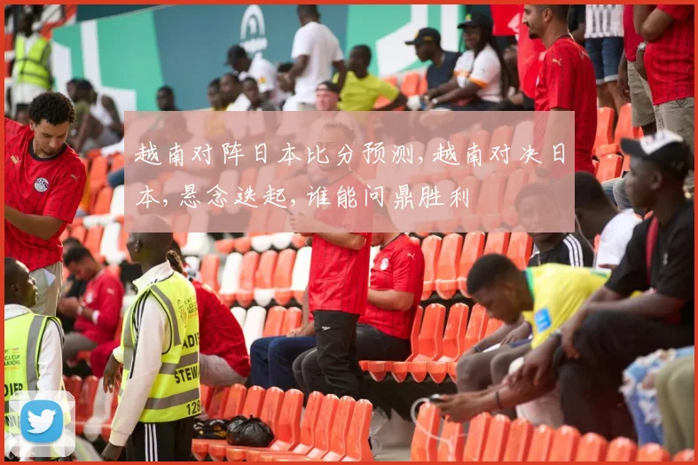 越南对阵日本比分预测,越南对决日本,悬念迭起,谁能问鼎胜利