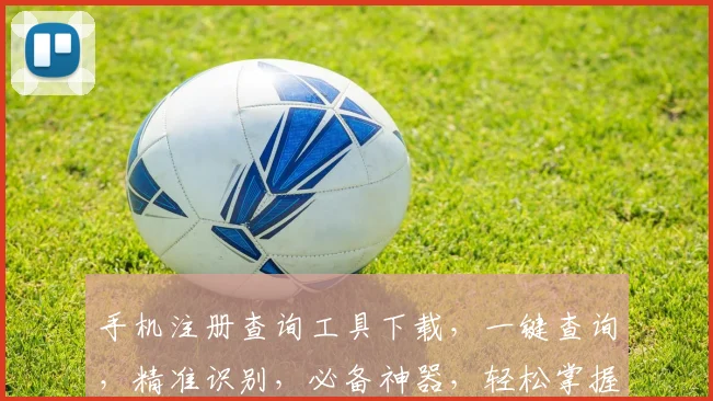 手机注册查询工具下载，一键查询，精准识别，必备神器，轻松掌握