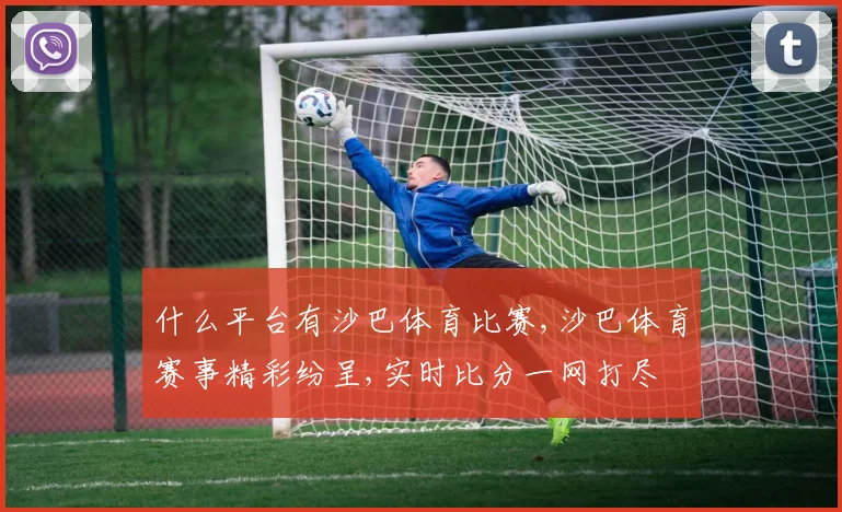 什么平台有沙巴体育比赛,沙巴体育赛事精彩纷呈,实时比分一网打尽