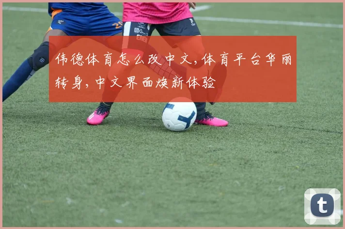 伟德体育怎么改中文,体育平台华丽转身,中文界面焕新体验